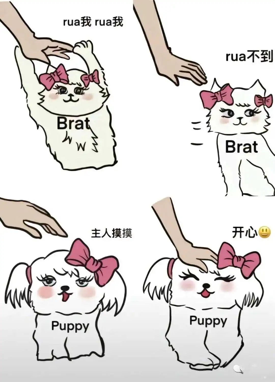 西檬之家字母圈的小圈如何找到自我归属感? 一