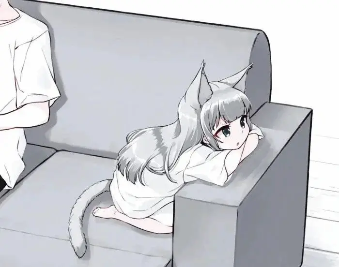 西檬之家k8猫系文化全解析,如何在2025年成为圈内宠儿? 一