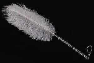 西檬之家了解brat属性:字母圈中的调皮角色解析 一