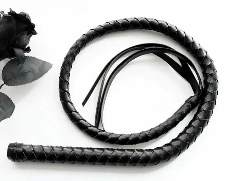 猫咪之家2025年k8猫系热潮,猫系文化如何影响现代生活? 一