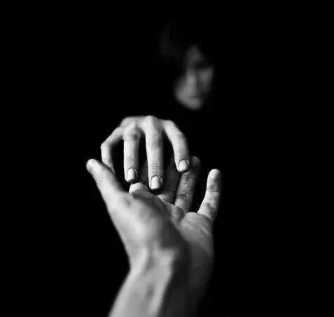 西檬之家字母圈中的DOM角色与身份解析是什么? 一