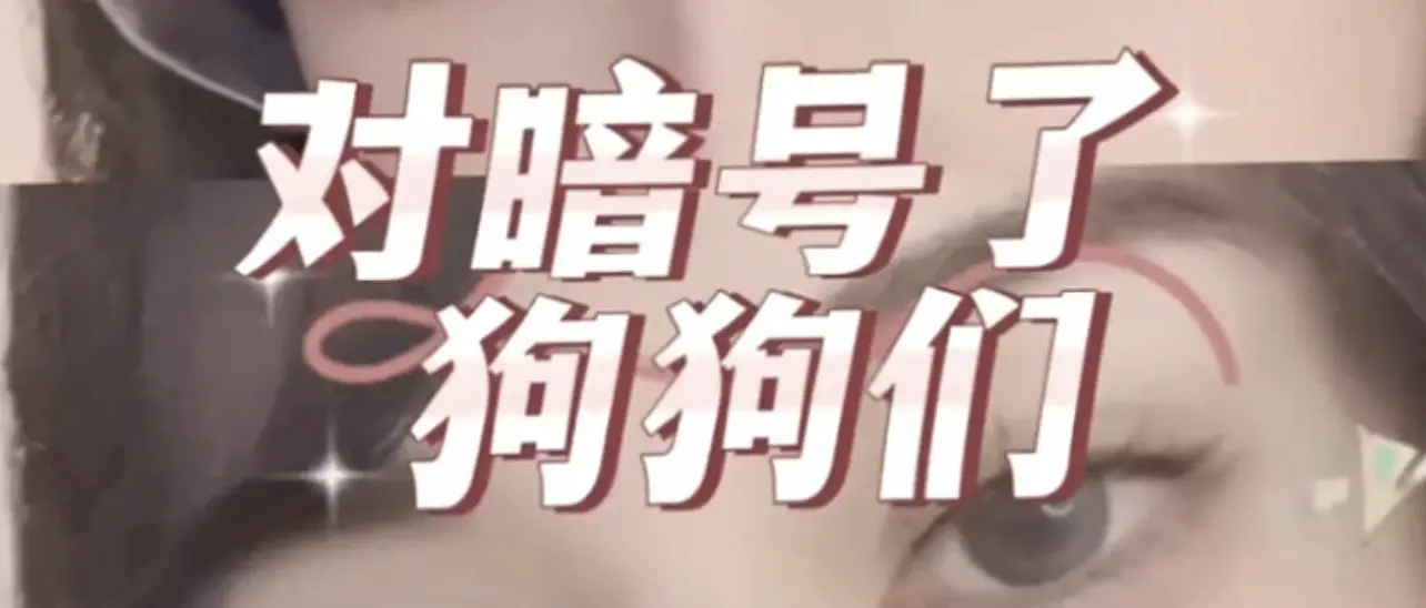 西檬之家brat属性是什么?字母圈中的挑衅与臣服的平衡! 一