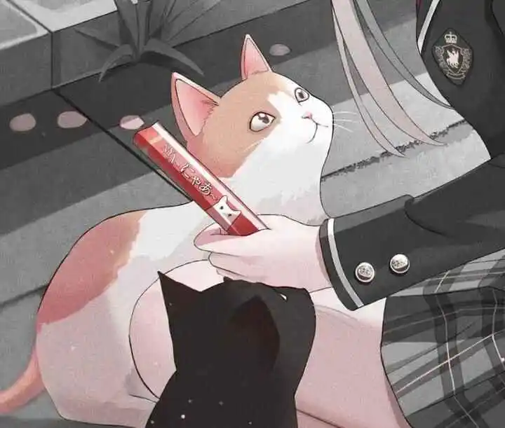 西檬之家k8猫系将引领2025年字母圈新潮流吗? 一