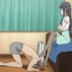 西檬之家字母圈中的Dom角色解读与实践指南 一