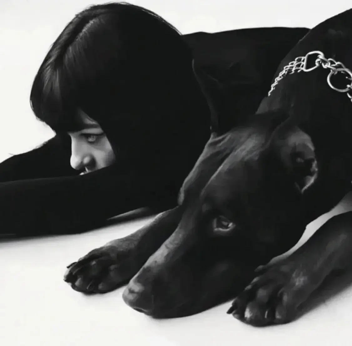 西檬之家k9是什么?探索字母圈中的新颖角色与实践。 一