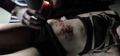 西檬之家字母圈的小圈究竟是什么?揭秘那些鲜为人知的秘密! 一