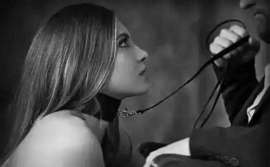 西檬之家k8猫系是什么?你了解它的独特魅力吗? 一