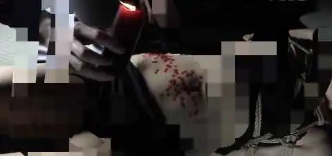 西檬之家s倾向有什么特点?一探字母圈的深层魅力 一