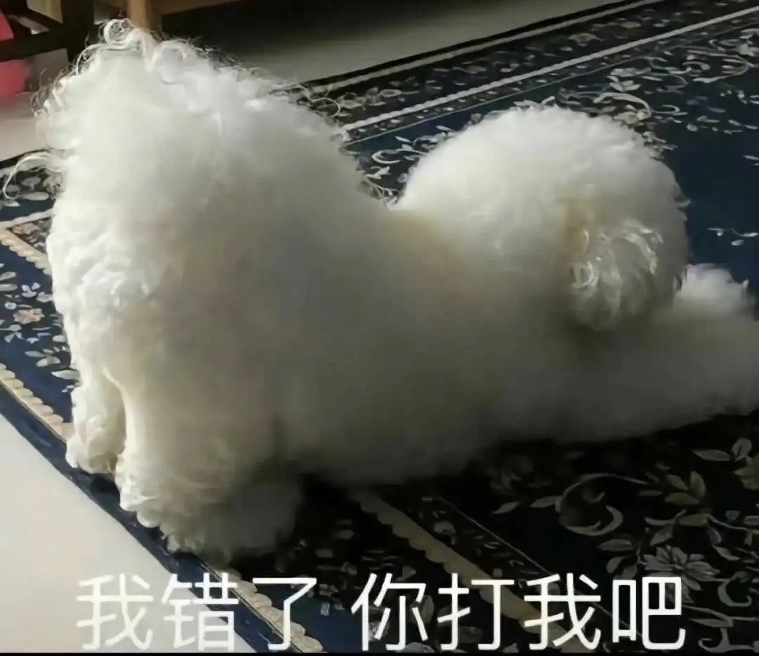 西檬之家2025年SM文化发展现状与趋势分析 一