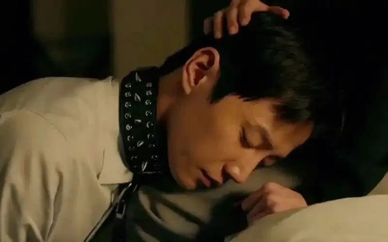 西檬之家字母圈的大圈是什么?探索BDSM的深度与广度 一