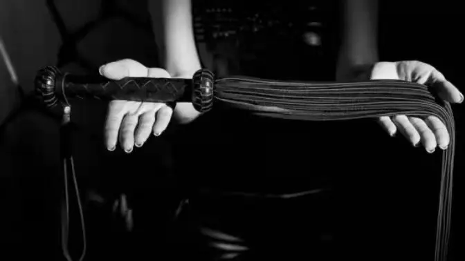 西檬之家k9犬系是什么?探索字母圈中的犬类角色扮演 一